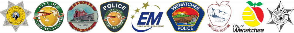 Emergency Management Logos